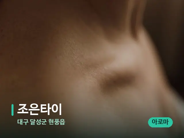 대구 달성군 현풍읍 조은타이 — 어깨·목 관리 장면